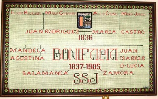 /Archivos/Fotos/25/Salamanca/6D Museo Bonifacia.jpg